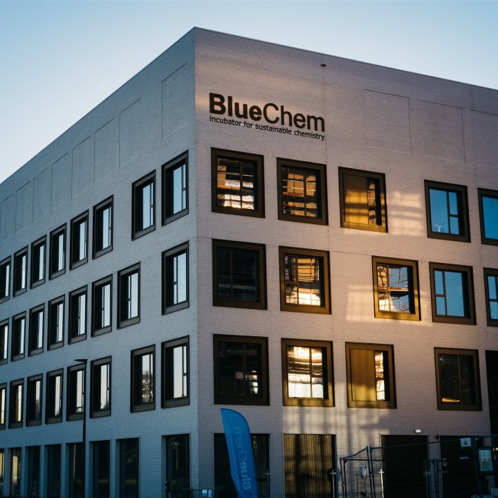 Bluechem - Photo by Fille Roelants-60.jpg